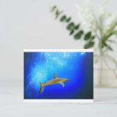 Haai onderwater, diepe blauwe oceaan briefkaart (Staand voorkant)