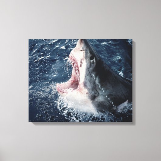 Haai opent mond van bovenaf canvas afdruk (Voorkant)