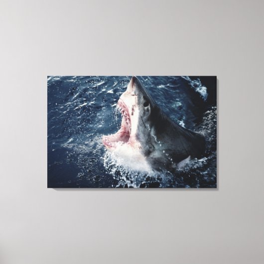 Haai opent mond van bovenaf canvas afdruk (Voorkant)