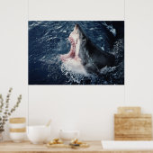 Haai opent mond van bovenaf poster (Keuken)