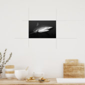 haai poster (Keuken)