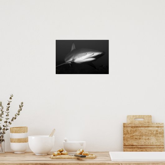 haai poster (Keuken)