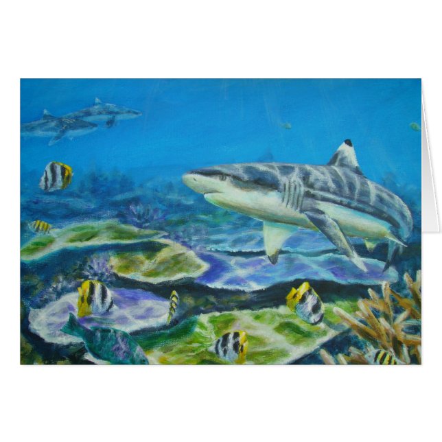 haai tahiti (Voorkant Horizontaal)