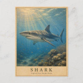 Haai Tropische Stille Oceaan VINTAGE Briefkaart