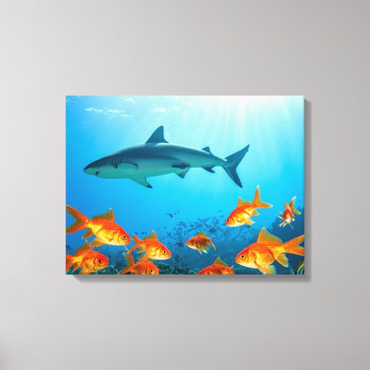 Haai tussen goudvissen canvas afdruk (Voorkant)