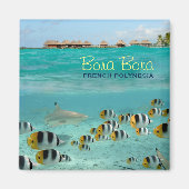 Haai vierkante magneet met Bora Bora tekst (Voorkant)