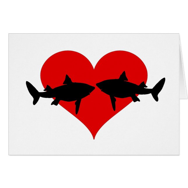 Haaien (Voorkant Horizontaal)