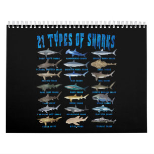 Haaien 21 soorten zeedieren kalender