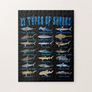 Haaien 21 soorten zeedieren legpuzzel
