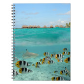 Haaien achtervolgen op Bora Bora notebook Notitieboek (Voorkant)