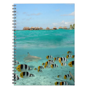 Haaien achtervolgen op Bora Bora notebook Notitieboek