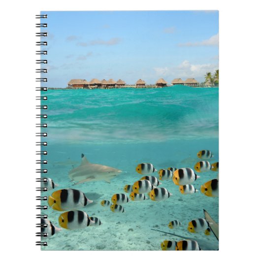 Haaien achtervolgen op Bora Bora notebook Notitieboek (Voorkant)