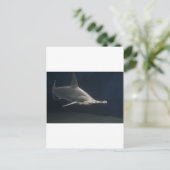 Haaien Briefkaart (Staand voorkant)