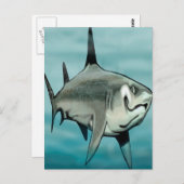 Haaien Briefkaart (Voorkant / Achterkant)