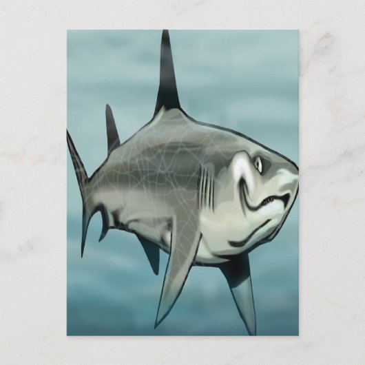 Haaien Briefkaart (Voorkant)
