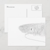Haaien Briefkaart (Voorkant / Achterkant)