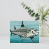 Haaien Briefkaart (Staand voorkant)