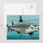 Haaien Briefkaart (Voorkant / Achterkant)