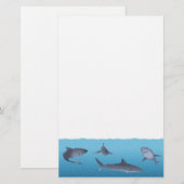 Haaien Briefpapier (Voorkant / Achterkant)