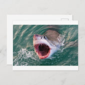 Haaien die uit de oceaan komen briefkaart (Voorkant / Achterkant)