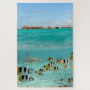 Haaien die vissen achtervolgen in de tropische lag legpuzzel