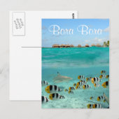Haaien die vissen in Bora Bora text briefkaart (Voorkant / Achterkant)