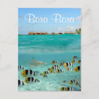 Haaien die vissen in Bora Bora text briefkaart