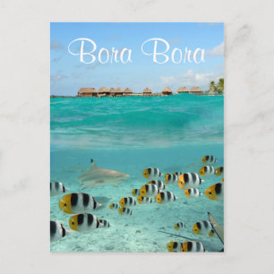 Haaien die vissen in Bora Bora text briefkaart