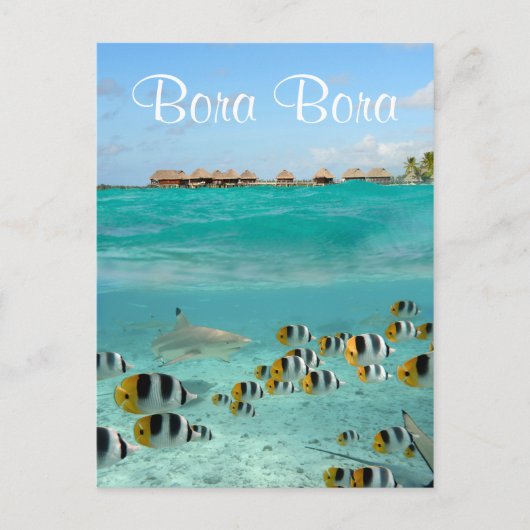 Haaien die vissen in Bora Bora text briefkaart (Voorkant)