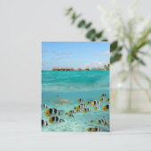 Haaien die vissen op het briefkaart van de Bora Bo (Staand voorkant)