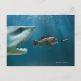 Haaien die zee achtervolgen die jonge vis achtervo briefkaart