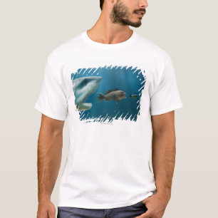 Haaien die zee achtervolgen die jonge vis achtervo t-shirt