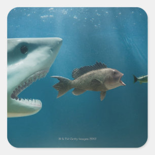 Haaien die zee achtervolgen die jonge vis achtervo vierkante sticker