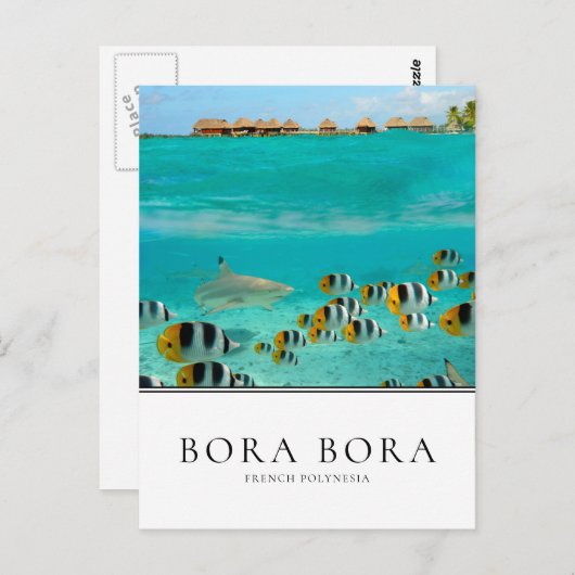 Haaien en vissen in Bora Bora, Frans-Polynesië Briefkaart (Voorkant / Achterkant)