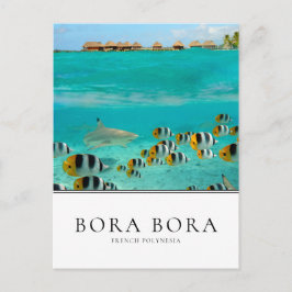 Haaien en vissen in Bora Bora, Frans-Polynesië Briefkaart