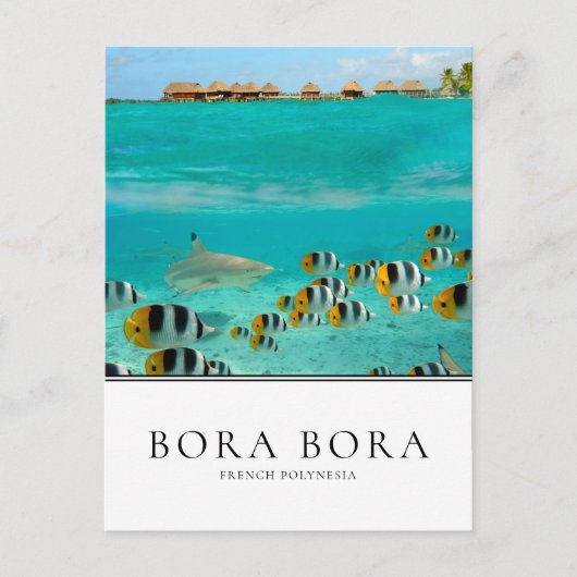 Haaien en vissen in Bora Bora, Frans-Polynesië Briefkaart (Voorkant)