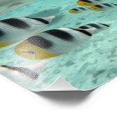 Haaien en vissen, verticale afdruk Bora Bora Bora (Hoek)