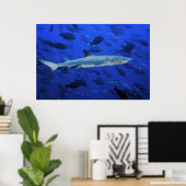 Haaien en zeeduivel poster (Thuiskantoor)
