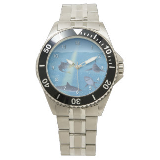 Haaien Horloge