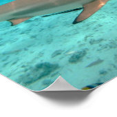 Haaien in de Bora Bora lagune poster (Hoek)