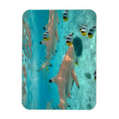 Haaien in de Bora Bora lagune rechthoekige magneet (Verticaal)