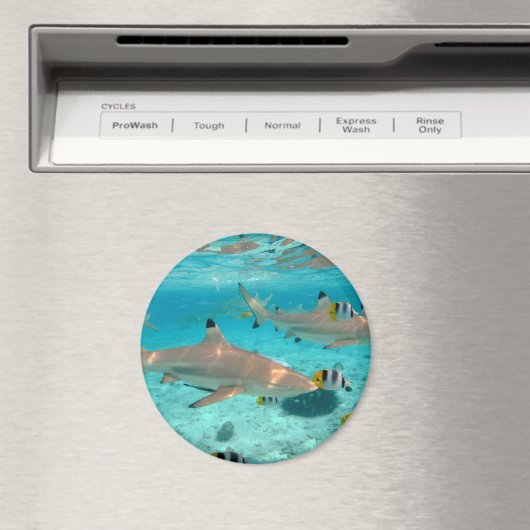 Haaien in de Bora Bora lagune rond magneet (Insitu (Vaatwasser))