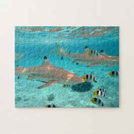 Haaien in de lagune Bora jigzaag Legpuzzel