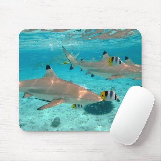 Haaien in de lagune van Bora Bora mousepad Muismat (Met muis)