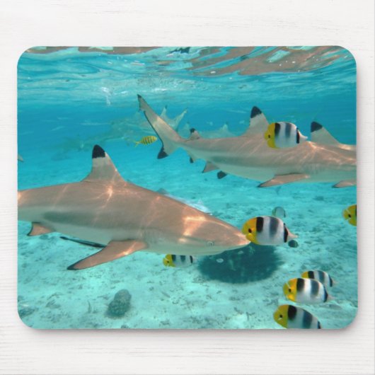 Haaien in de lagune van Bora Bora mousepad Muismat (Voorkant)