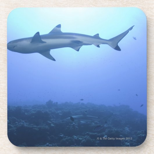 Haaien in de oceaan, uitzicht in de benedenhoek drankjes onderzetter (Voorkant)