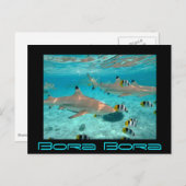 Haaien in het de lagune zwarte briefkaart van Bora (Voorkant / Achterkant)