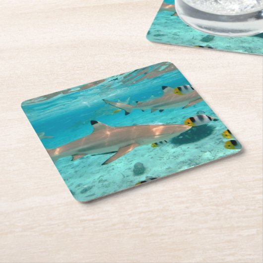 Haaien in het onderzetter van de Bora Bora (Schuin)