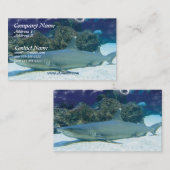 Haaien in het Visitekaartje koraalrif (Voorkant / Achterkant)