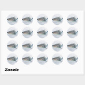 Haaien in water ronde sticker (Vel)